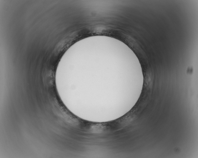 X0000110770470200907131237