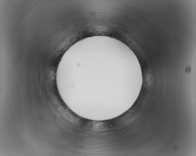 X0000110770472200907131238