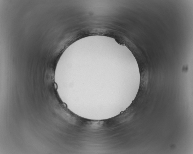 X0000110770474200907131238