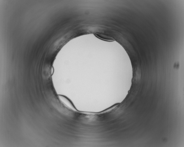 X0000110770478200907131238