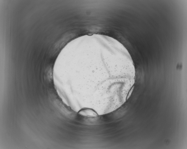 X0000110770479200907131238