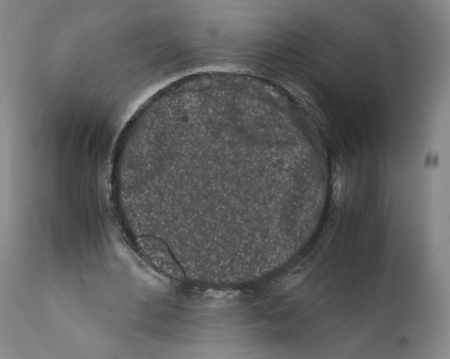 X0000110770484200907131237