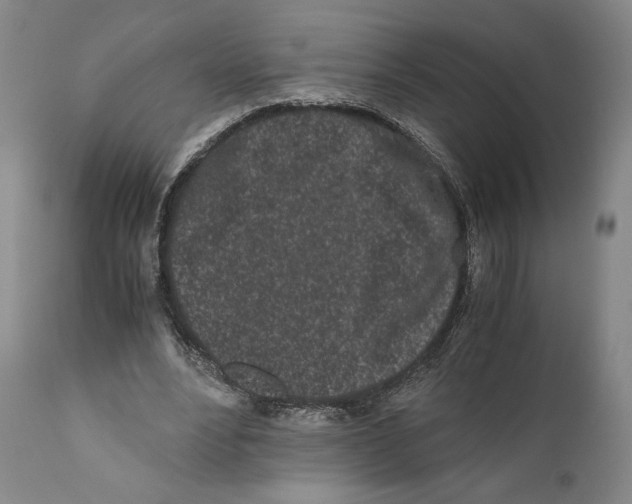 X0000110770488200907131237