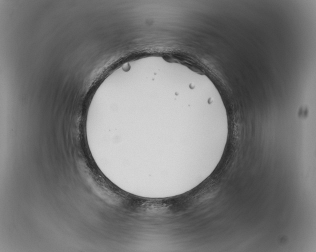 X0000110770491200907131237