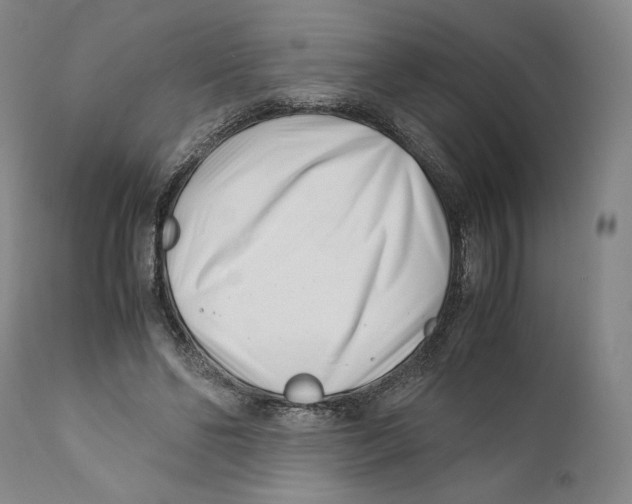 X0000110770494200907131237