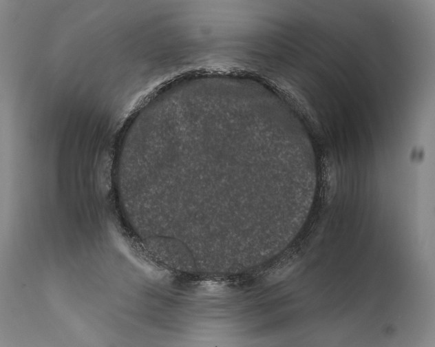 X0000110770496200907131237