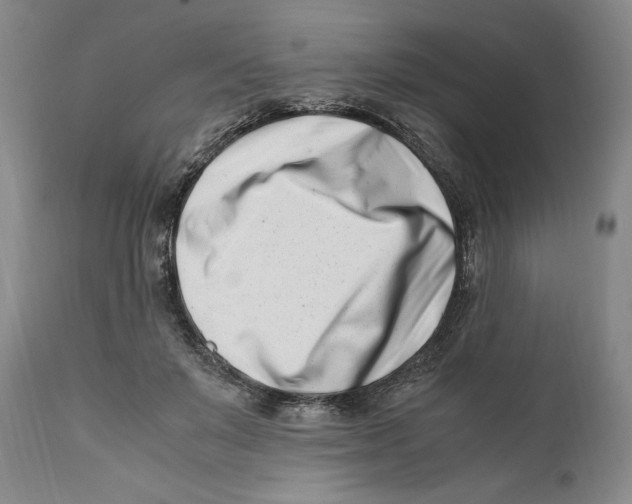 X0000110770503200907131237