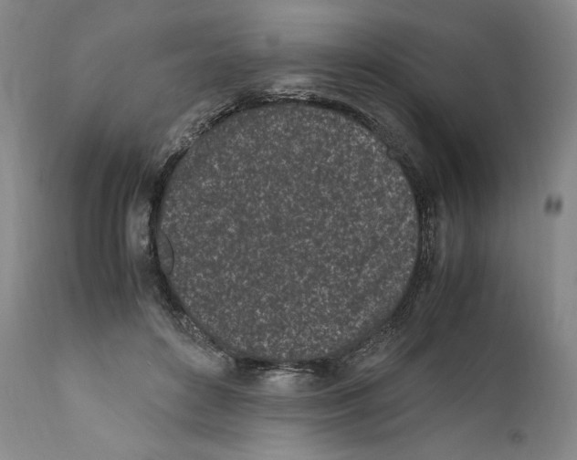 X0000110770504200907131237