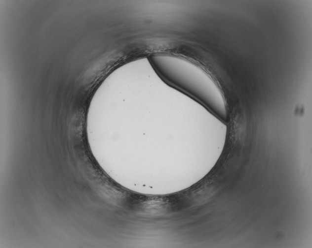 X0000110770505200907131237