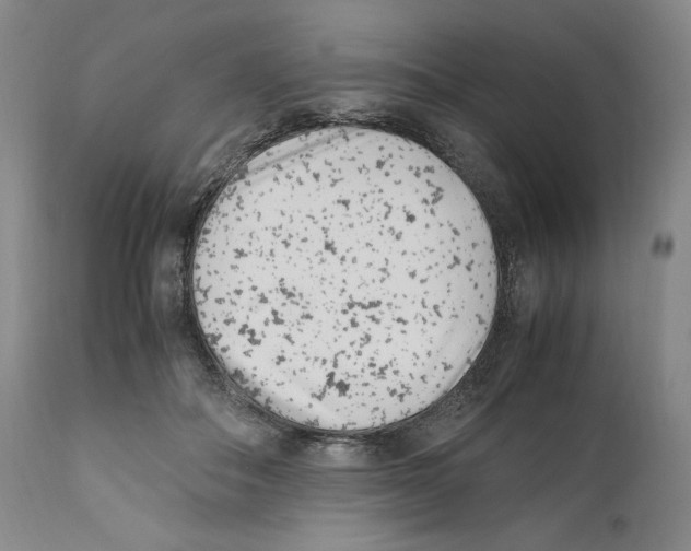 X0000110770506200907131237