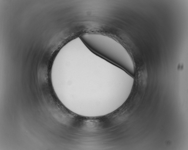 X0000110770508200907131237