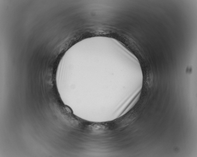 X0000110770512200907131237