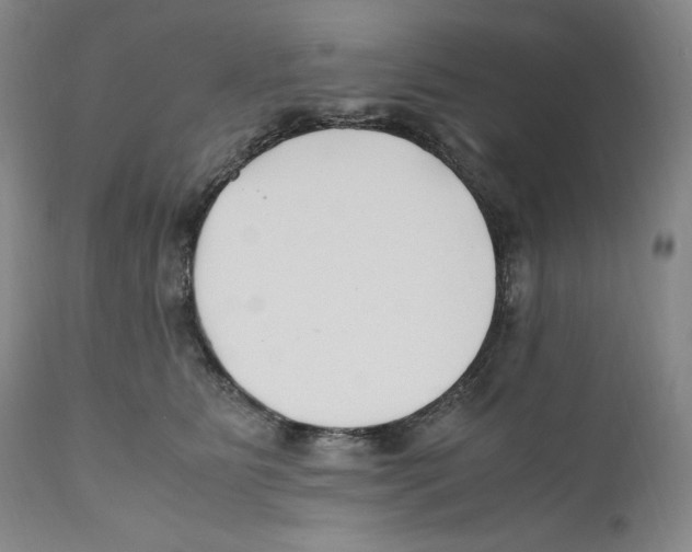 X0000110770515200907131236