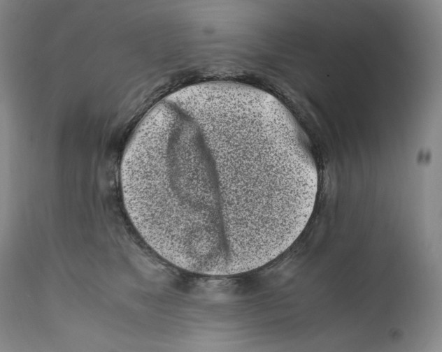 X0000110770517200907131236