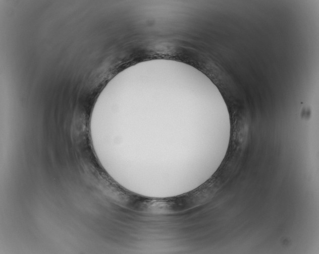 X0000110770518200907131236