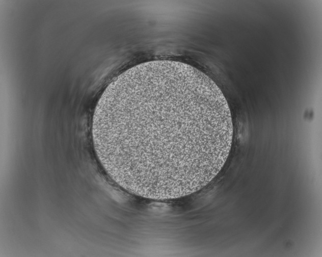 X0000110770519200907131236