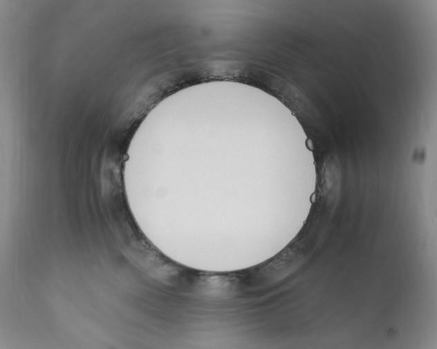 X0000110770522200907131236