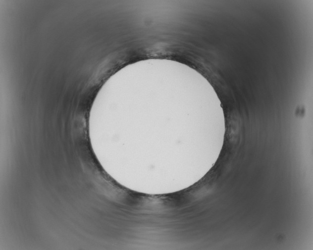 X0000110770523200907131236