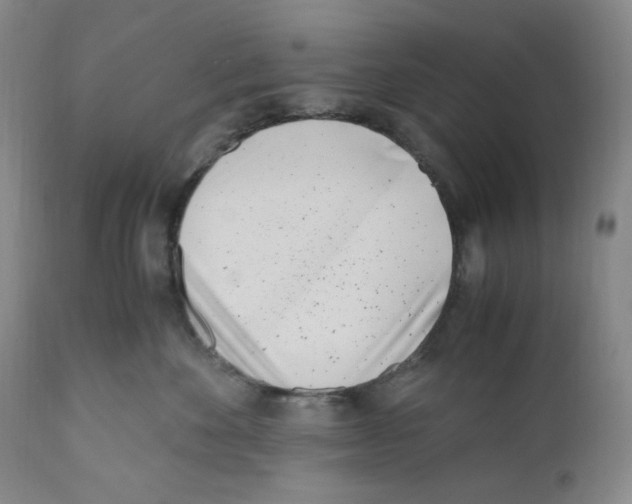 X0000110770524200907131236