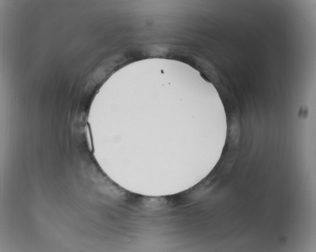 X0000110770525200907131236