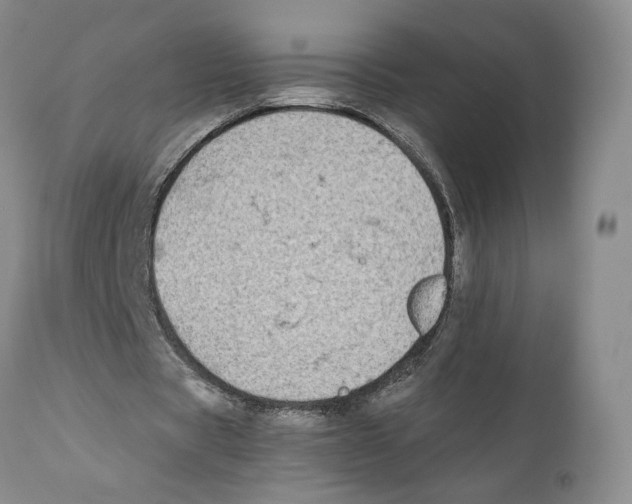 X0000110770529200907131236