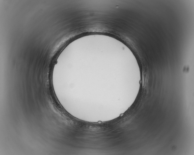 X0000110770531200907131236