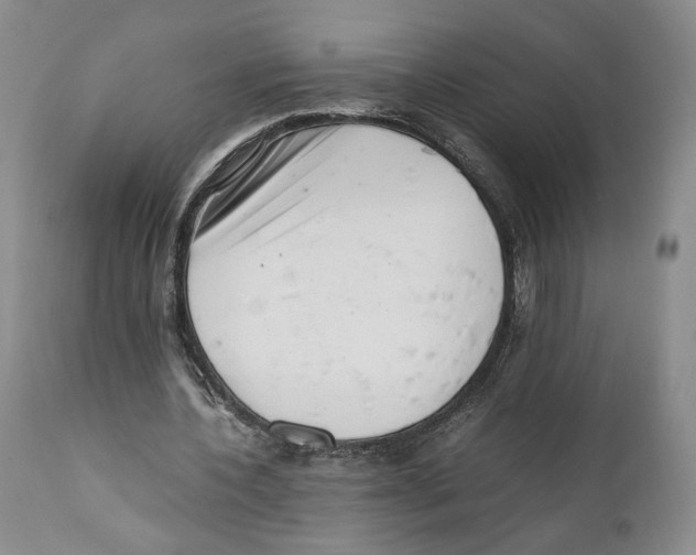 X0000110770532200907131236