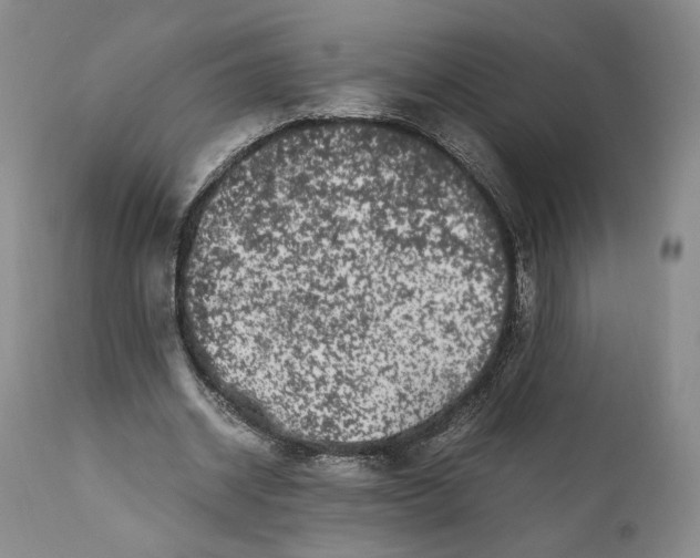 X0000110770534200907131236