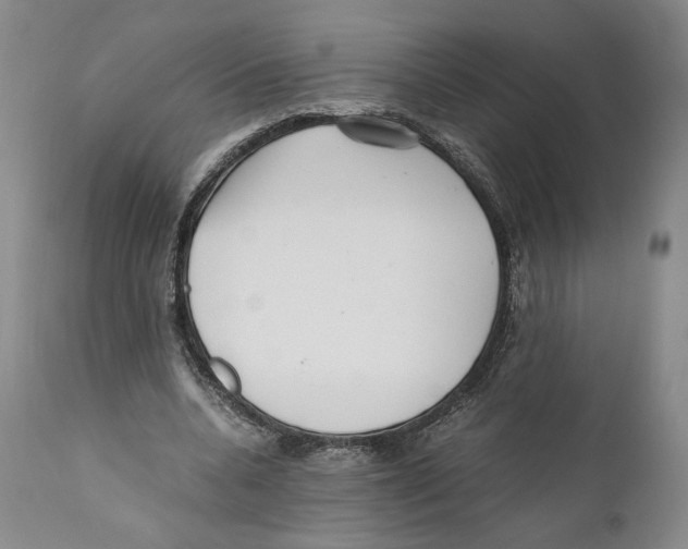 X0000110770536200907131236