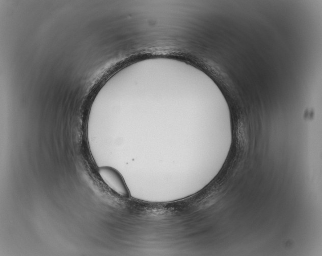 X0000110770540200907131236