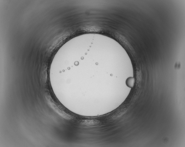 X0000110770541200907131236