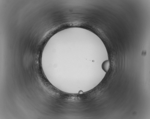 X0000110770543200907131236