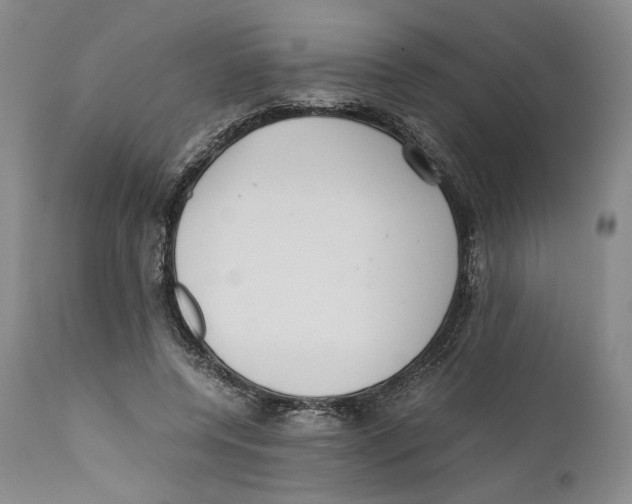 X0000110770544200907131236