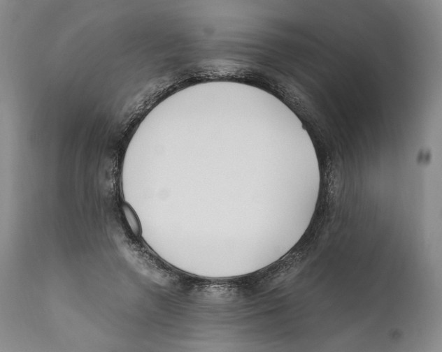 X0000110770546200907131236