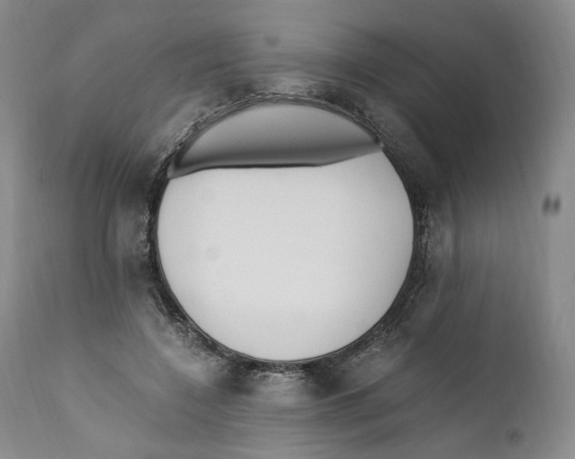 X0000110770548200907131236