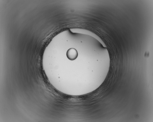 X0000110770556200907131236