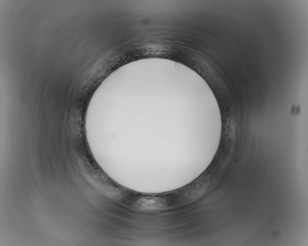 X0000110770557200907131236