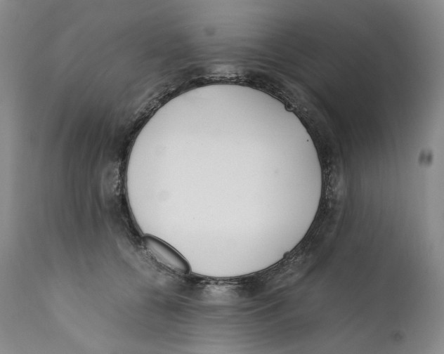 X0000110770560200907131236