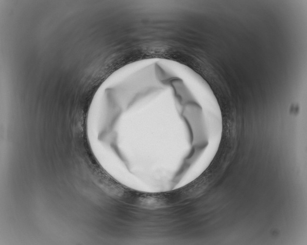 X0000110770561200907131236