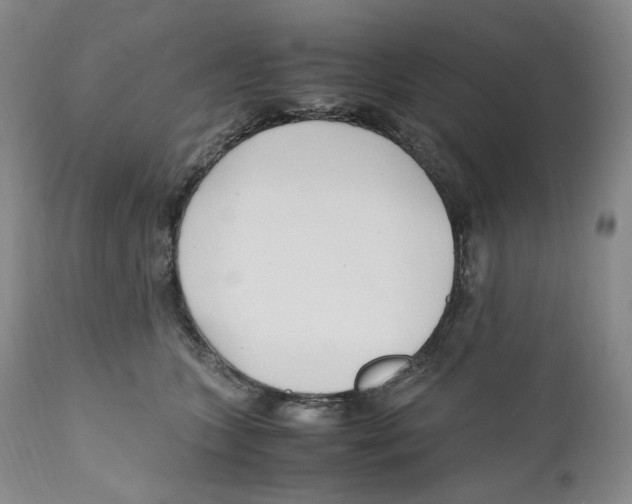 X0000110770563200907131236