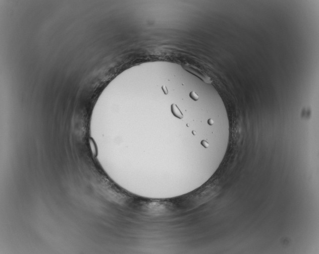 X0000110770566200907131236