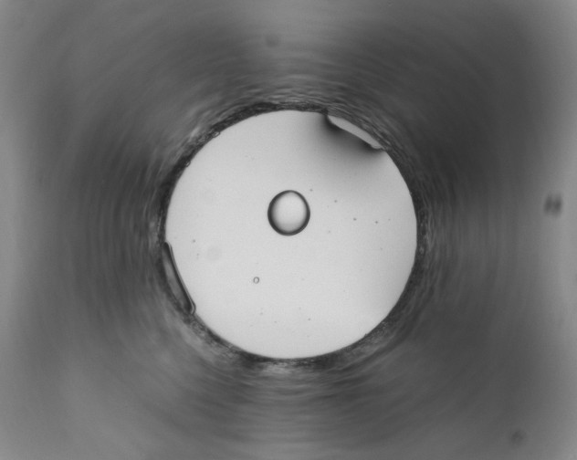 X0000110770568200907131236