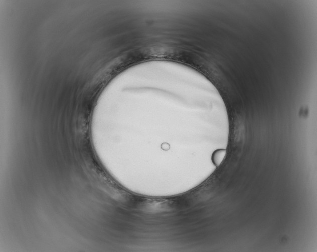 X0000110770569200907131236