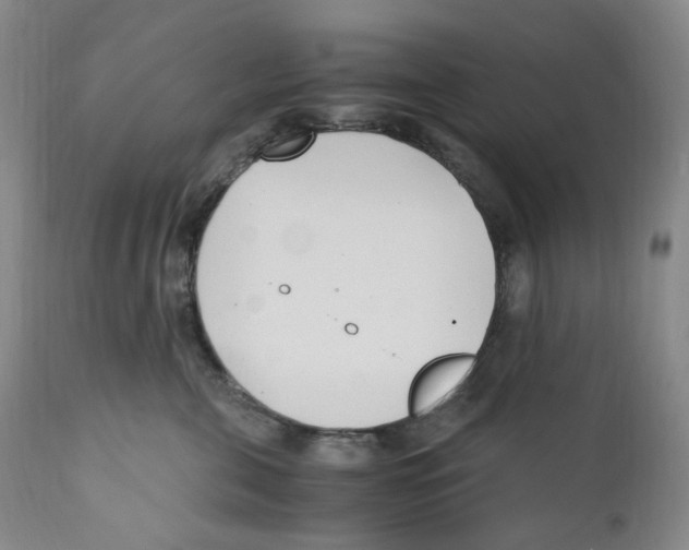 X0000110770571200907131236