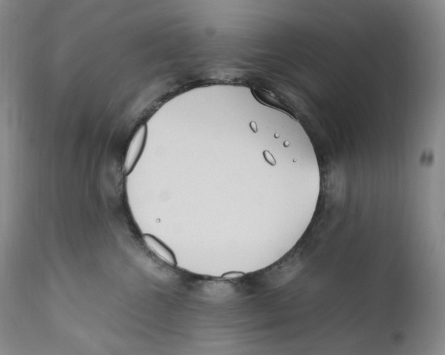 X0000110770572200907131236