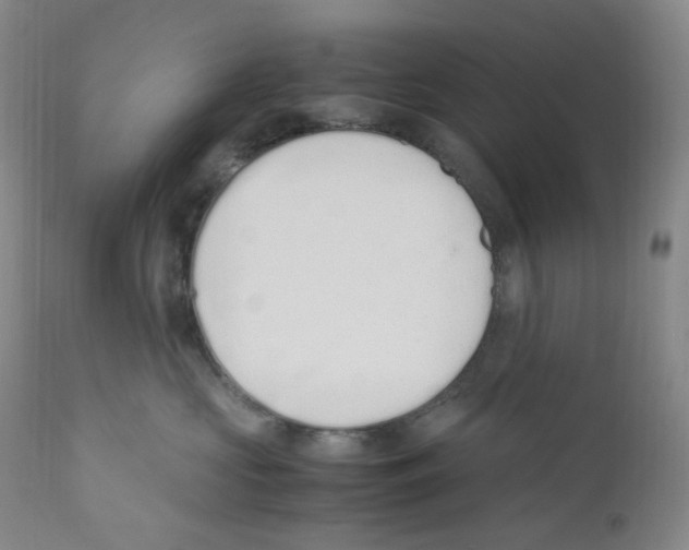 X0000110770573200907131236