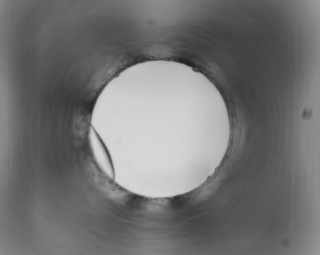 X0000110770576200907131236