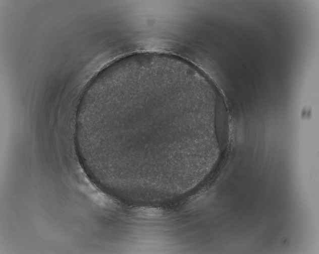 X0000110770577200907131236