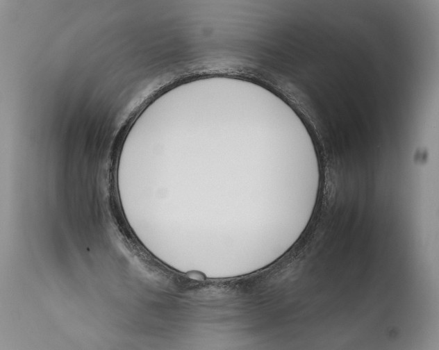 X0000110770578200907131236