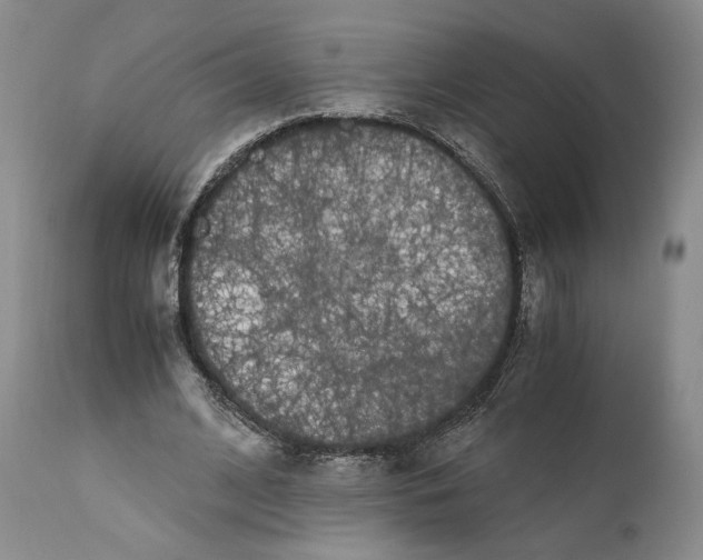 X0000110770584200907131236